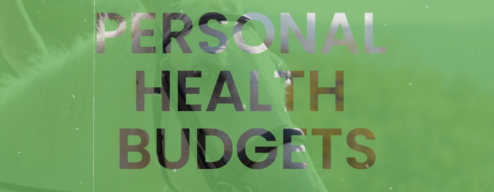 Case Study 7 – Personal Health Budgets – Ellen – Involve Kent